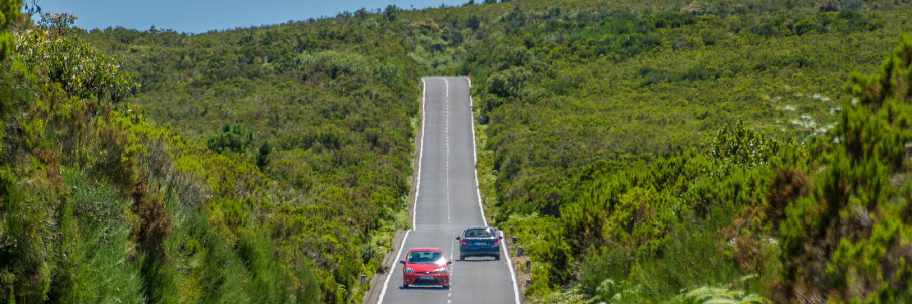 Madeira Rent a Car